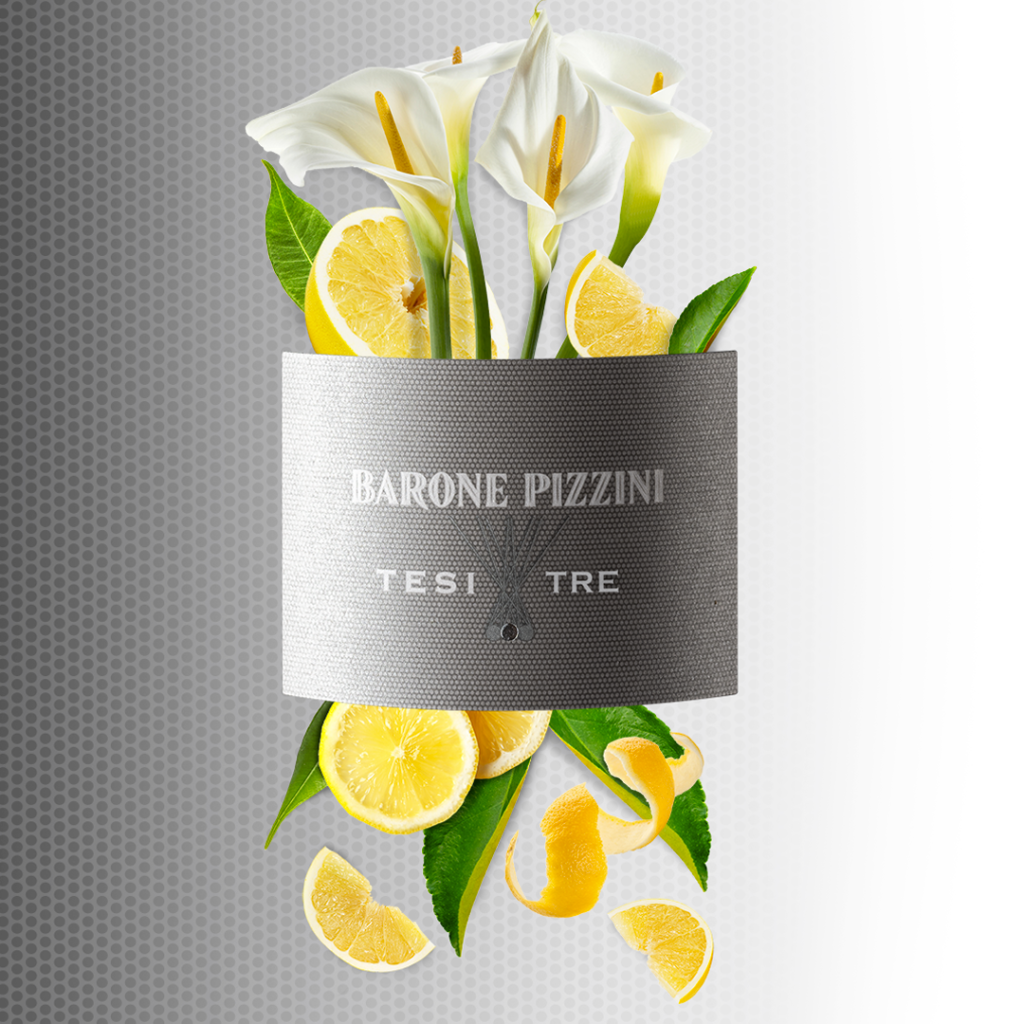 barone pizzini post social