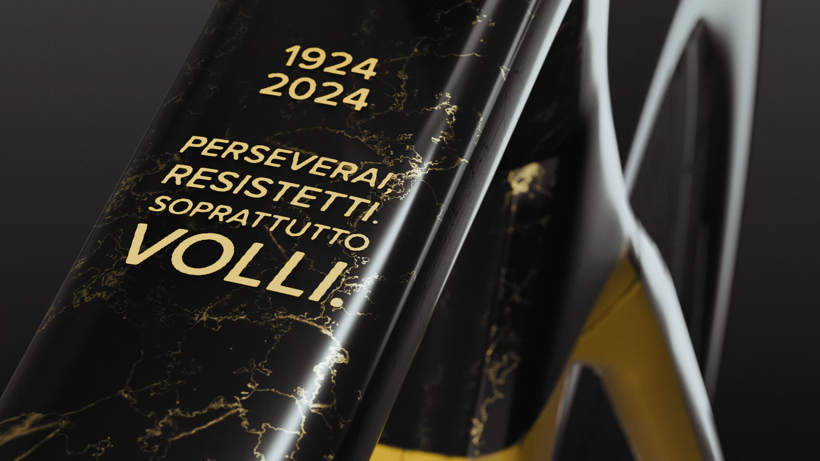 Bottecchia dettaglio